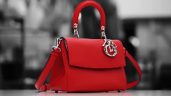 Be Dior - Savoir Faire