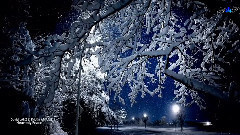 Heavenly Peace