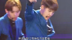 EXO - 狼与美女