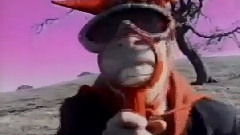 Tom Waits - I Don't Want To Grow Up