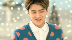 EXO,EXO-M,EXO-K - Healer (二)