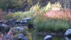 音乐短片,吴淑萍,风景 - 穷与富