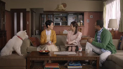 AKB48 - 白戸家 回想 篇 秋元先生(15秒)