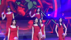 Nine Muses - 成人礼