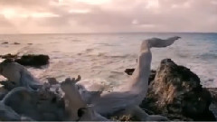 音乐短片 - Wonderful World