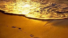 音乐短片 - En Ruta Hacia Dios