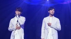 东方神起 - 樱花之路