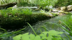 音乐短片 - Sundial Dreams