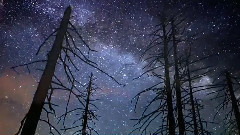 音乐短片 - 来自星星的爱