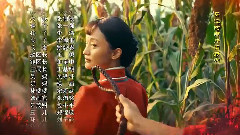 韩红 - 九儿 电视剧<红高粱>片尾剪辑