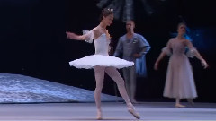 音乐短片,舞蹈视频 - 芭蕾舞胡桃夹子 糖果仙女
