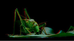 音乐短片 - 视觉盛宴