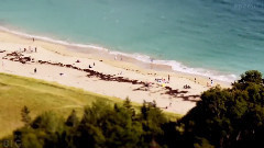 音乐短片 - Adorable Acadia National Park