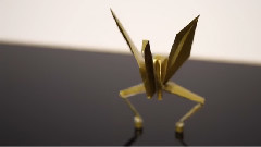 音乐短片 - Dancing Paper