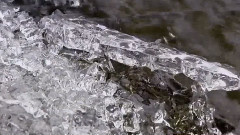 音乐短片 - Early Spring Language