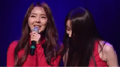 Stellar - 互动部分
