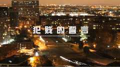 华语群星 - 犯贱的誓言 官方版