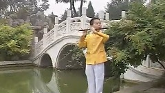 华语童星 - 向往