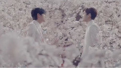 郑允浩,东方神起 - 樱花之路 (允浩剪辑)