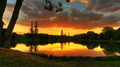 音乐短片 - Lightscape