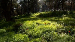 音乐短片 - The Great Spirit