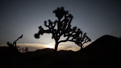 音乐短片 - The Little Demon's Lullaby