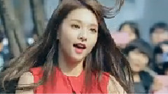 Fiestar - Vista