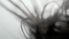 音乐短片 - Light Motif