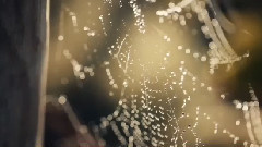 音乐短片 - Childhood Memories