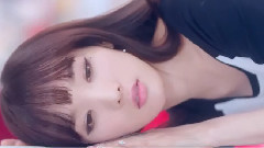 Stellar - 笨蛋