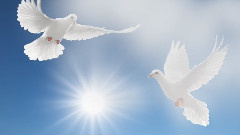 音乐短片 - I Do It For You