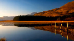 音乐短片 - I Dreamed There Was No War