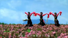 冯晓菲 - 挺好的