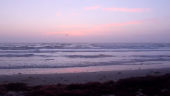 音乐短片 - Unveil Your Love