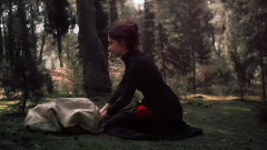 音乐短片 - Book Of Rose - Mehdi