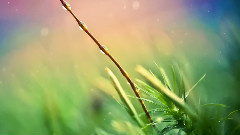 音乐短片 - Myriades De Lumiere