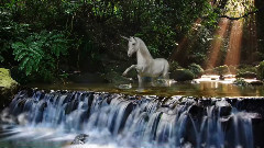 音乐短片 - Fields Of Fortune