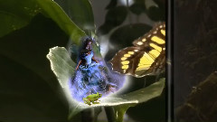 音乐短片 - Silence Speaks