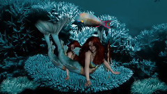 音乐短片 - Carino