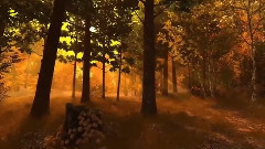 音乐短片 - Enchantment