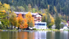 音乐短片 - 魔法森林