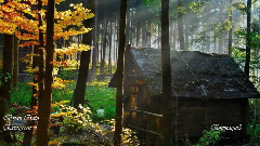 音乐短片 - Evergreen