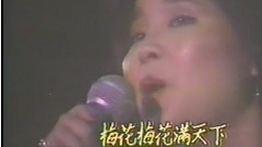邓丽君 - 梅花