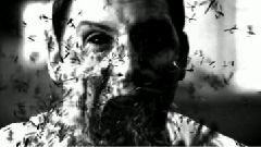 Parkway Drive - Sleepwalker