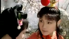 枉凝眉