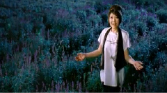 张禹凌 - 萤火虫女孩
