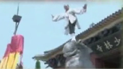 林志颖 - 少林
