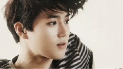 EXO-K,SUHO(EXO) - Suho Voice Only
