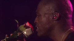 Seal - Kiss From A Rose