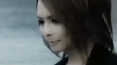日本群星 - Lily